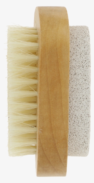 Brush #5549813