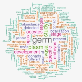 4 Open Access Papers Mention Dre Mir 202 #5549914