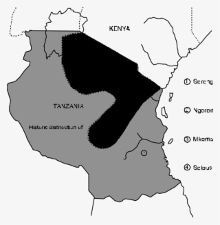 Historical And Present Distribution Of The Two Taxonomic - Black Rhinoceros #5550313