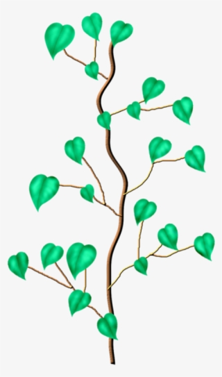 Фото, Автор I #5552372