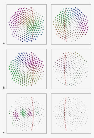 The Red Dotted Lines Mark The Margin Of Binocular Overlap #5553174 The Red Dotted Lines Mark The Margin Of Binocular Overlap #5553174