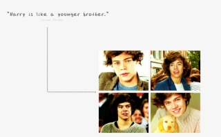 ”age Is A Number - One Direction Harry Styles Puppy Cute Music Rare 24x18 #5555037