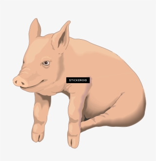 Pig - Clip Art Pig Transparent #5555104