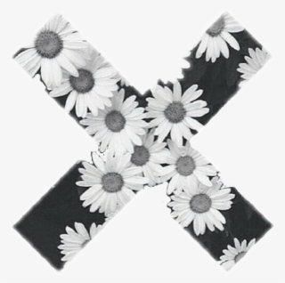 X Spacers For Instagram #5555995