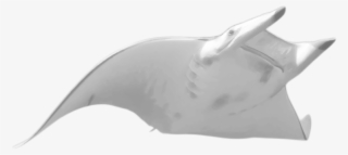 Manta Ray Png Pluspng - Transparent Manta Ray Png #5556347