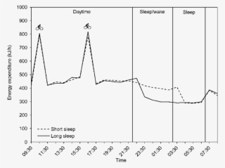 Energy Expenditure Profile From The Calorimetric Chamber - Fairview Park #5559629