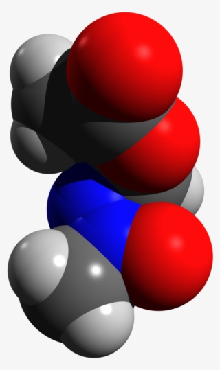 Laboratory Rats Are Used In Some Animal Models Of Schizophrenia - Methylazoxymethanol Acetate #5560021