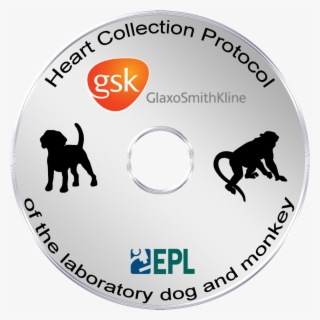 Heart Trimming Protocol Of The Laboratory Dog And Monkey - Gsk #5560306