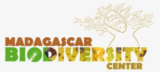 Picture - Madagascar Biodiversity Center #5560904