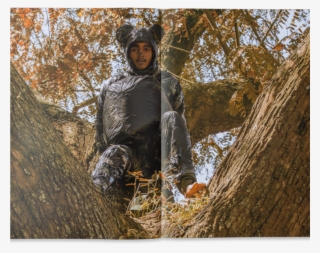 Autumn #5564123