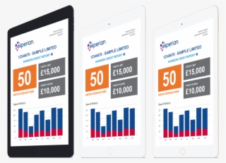 Sample Credit Reports Sample Credit Reports For Teaching - Report #5566260