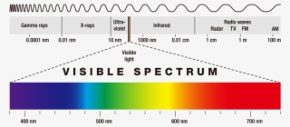 The Colors Range From Short Wavelengths To Long Wavelengths, - Comprimento De Onda Visivel #5567663