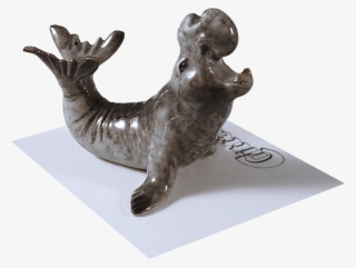 "mirounga" Elephant Seal #5570235 "mirounga" Elephant Seal #5570235