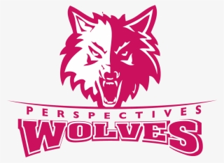 Perspectives Msa #5572510