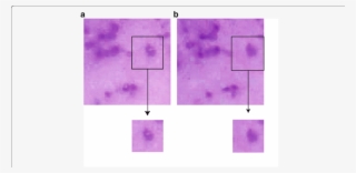 Comparison Of Composite Images Before And After Color - Color #5573607