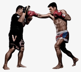 Muay Thai Png #5574411 Muay Thai Png #5574411