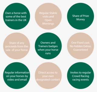 9 Reasons To Own A Racehorse - Christian Fish Icon #5574721