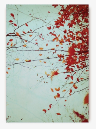 Autumns Reach Postcard - Love Qvotes Plus #5576432