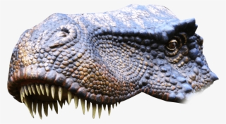 T Rex T Rex - Tyrannosaurus #5579500