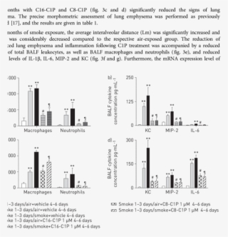 Anti Inflammatory Effect Of Ceramide 1 Phosphate In - Inflammation S Smase Assay Kit #5580261