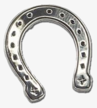 Explorers Press Lucky Pin V=1516282855 - Lucky Horseshoe Pin #5582075