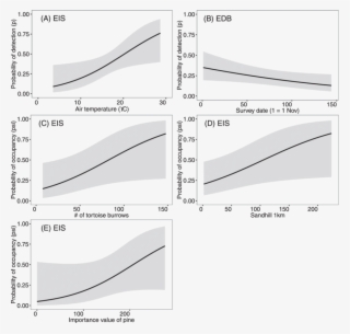 Relationships Between Eastern Indigo Snake And Eastern - Drymarchon #5582824