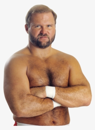 Arn Anderson Pro - Arn Anderson #5583047