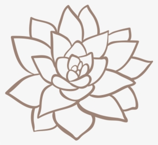 Wooden Signs - Succulent Plant #5583399