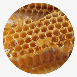 Ingredients - Honey - Honeycomb #5583590