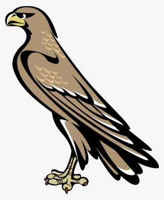 Falcon Symbol Coat Of Arms #5585269