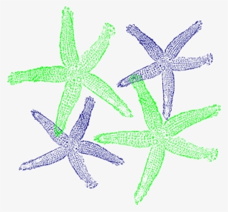 How To Set Use Starfish Prints Clipart #5585721