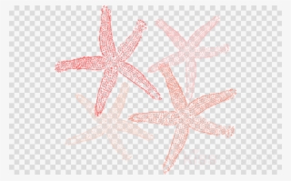 Coral Colored Starfish Png Clipart Starfish Clip Art - Title Frame Background Png #5585929