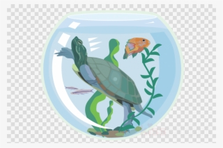 Turtle In Tank Clipart Turtle Aquarium Clip Art - Transparent Background White Plate #5585993