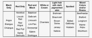 Basic Body Colors Of Common Cattle Breeds - Beef Cattle Breeds Table #5586546