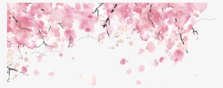 Cherry Blossom #5587576 Cherry Blossom #5587576