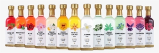 14 Mini Elixir Collection Amazon Mini All Roygbiv #5587823 14 Mini Elixir Collection Amazon Mini All Roygbiv #5587823