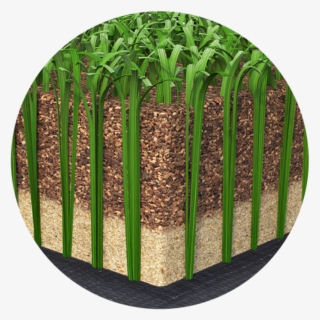Purefill - Coconut #5590608
