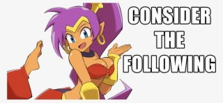 View Samegoogleiqdbsaucenao Consider The Shantae , - Portable Network Graphics #5590924
