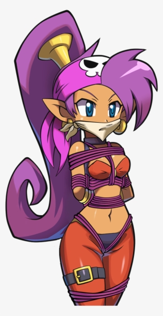 View Samegoogleiqdbsaucenao Pirate Shantae , #5591005