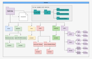 Cell Line Use Case Folder Structure #5591519