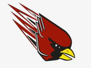 Pocono Mountain East Cardinals #5594079