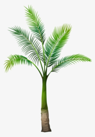 Free Png Palm Tree Png Images Transparent - Palm Tree Without Background #5595820