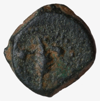 Palm Branch With Fillet - Artifact #5596073