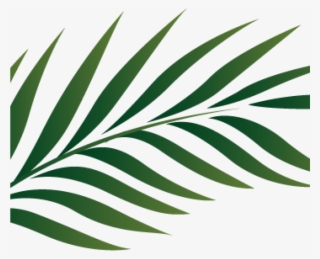 Palm Clipart Palm Branch Image Free Cliparts That You - Zazzle Blatt-plakat-kunst-bild Poster #5596270