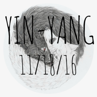 Yin Yang - Turkey #5596399