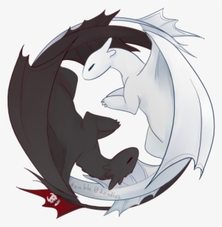 Httyd 3 - Night Fury And Light Fury #5596541