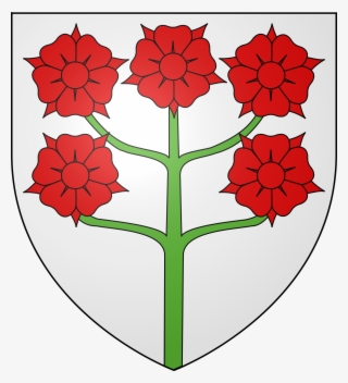 Open - Dianthus #5598770