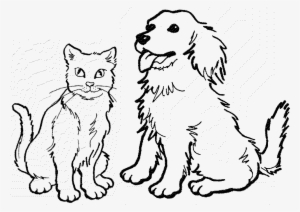 Dog And Cat png download - 1280*1280 - Free Transparent Midnight