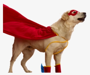Super - Dog Costumes Transparent Png #561026