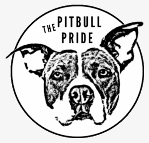 Pitbull Dog Pride Shop Store Jewelry Jewelery - Jewellery #561331